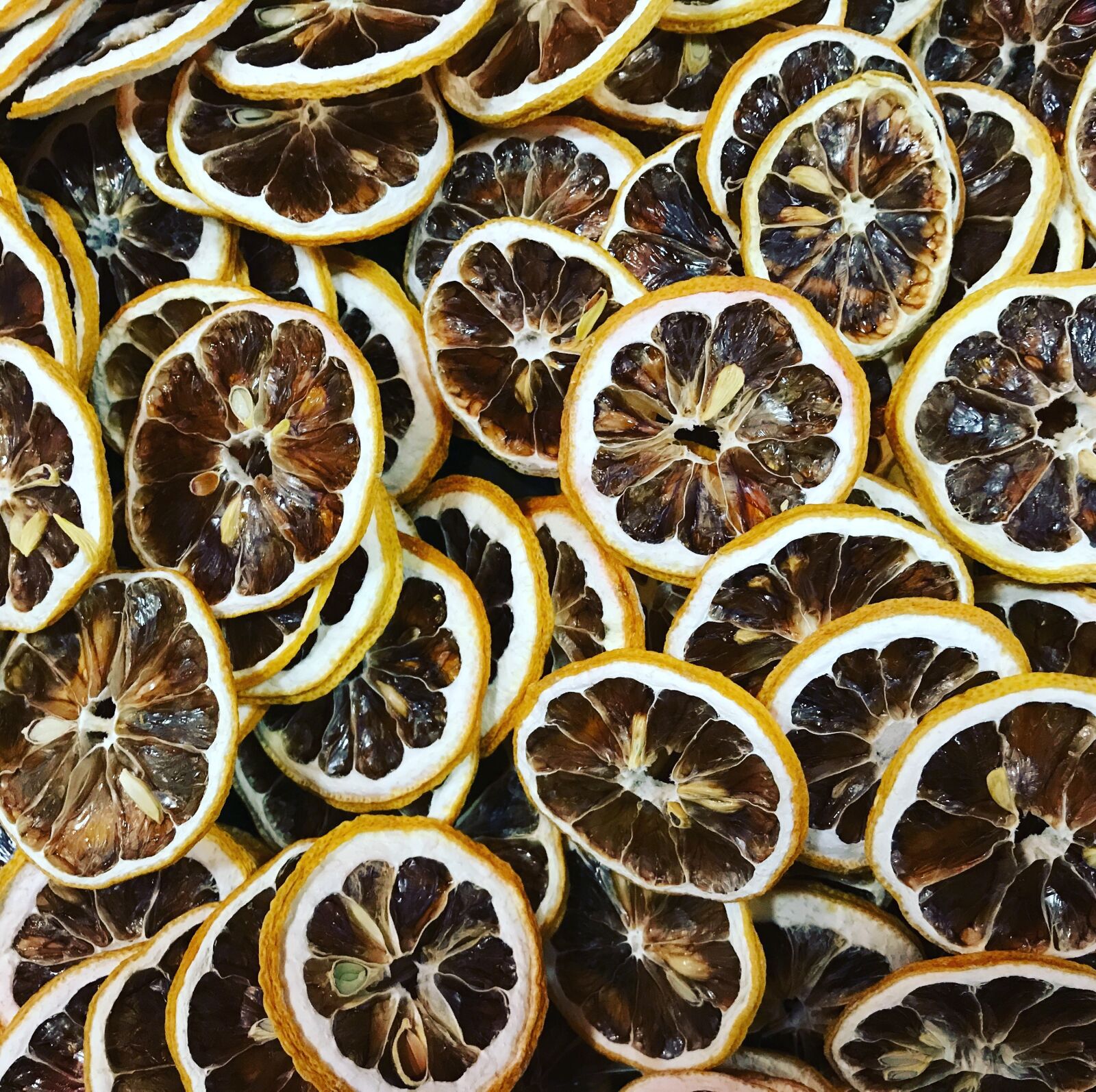iPhone 7 Plus back dual camera 3.99mm f/1.8 sample photo. Lemon, dehydrated, dehydration photography