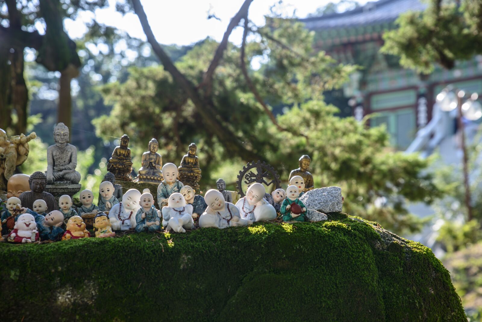 Nikon D800E sample photo. Doll, copper squares, monk photography