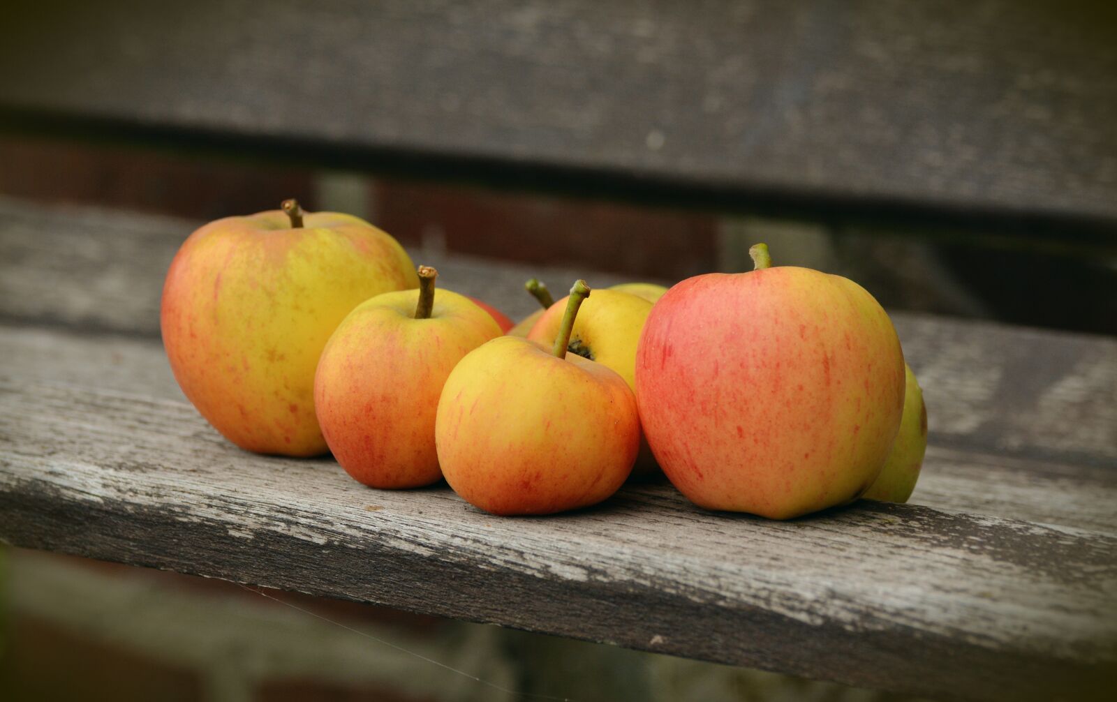 Nikon D5200 sample photo. Apple, goldparmäne, fruit photography