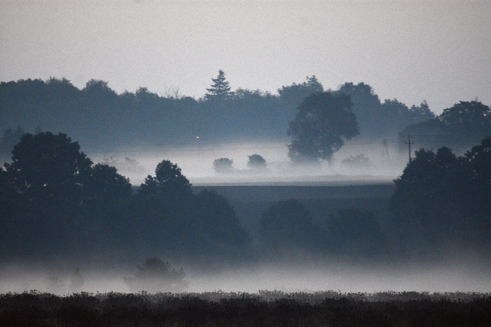 Nikon D3400 sample photo. Morning, the fog, landscape photography