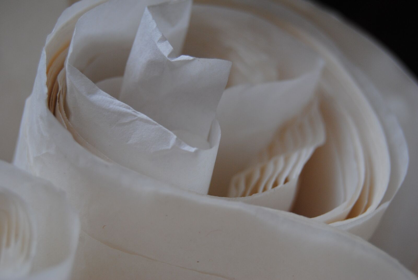 Nikon D3000 sample photo. Paper, parchment, biel photography
