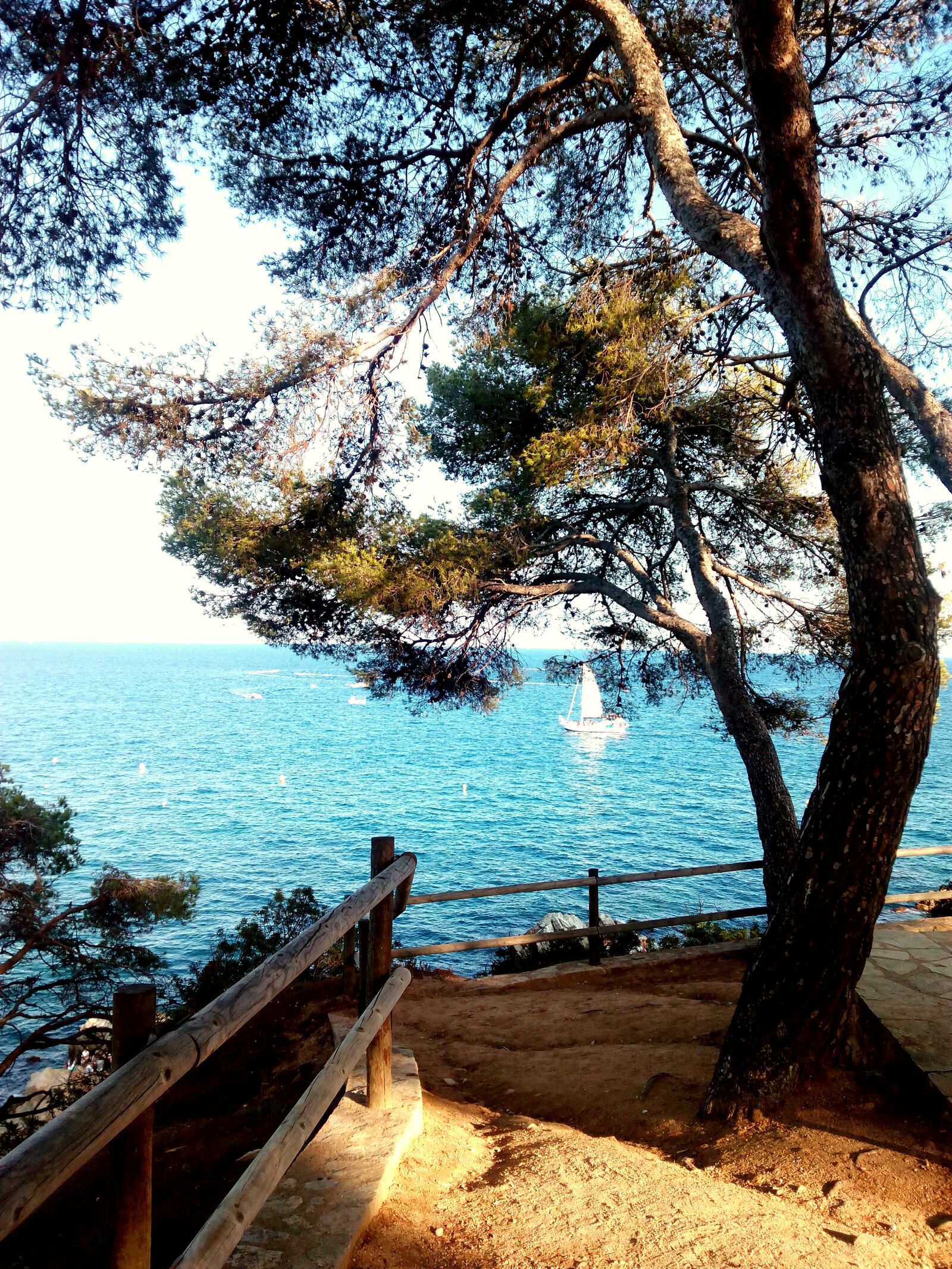 bq Aquaris E5 HD sample photo. Beach, tree, sea photography
