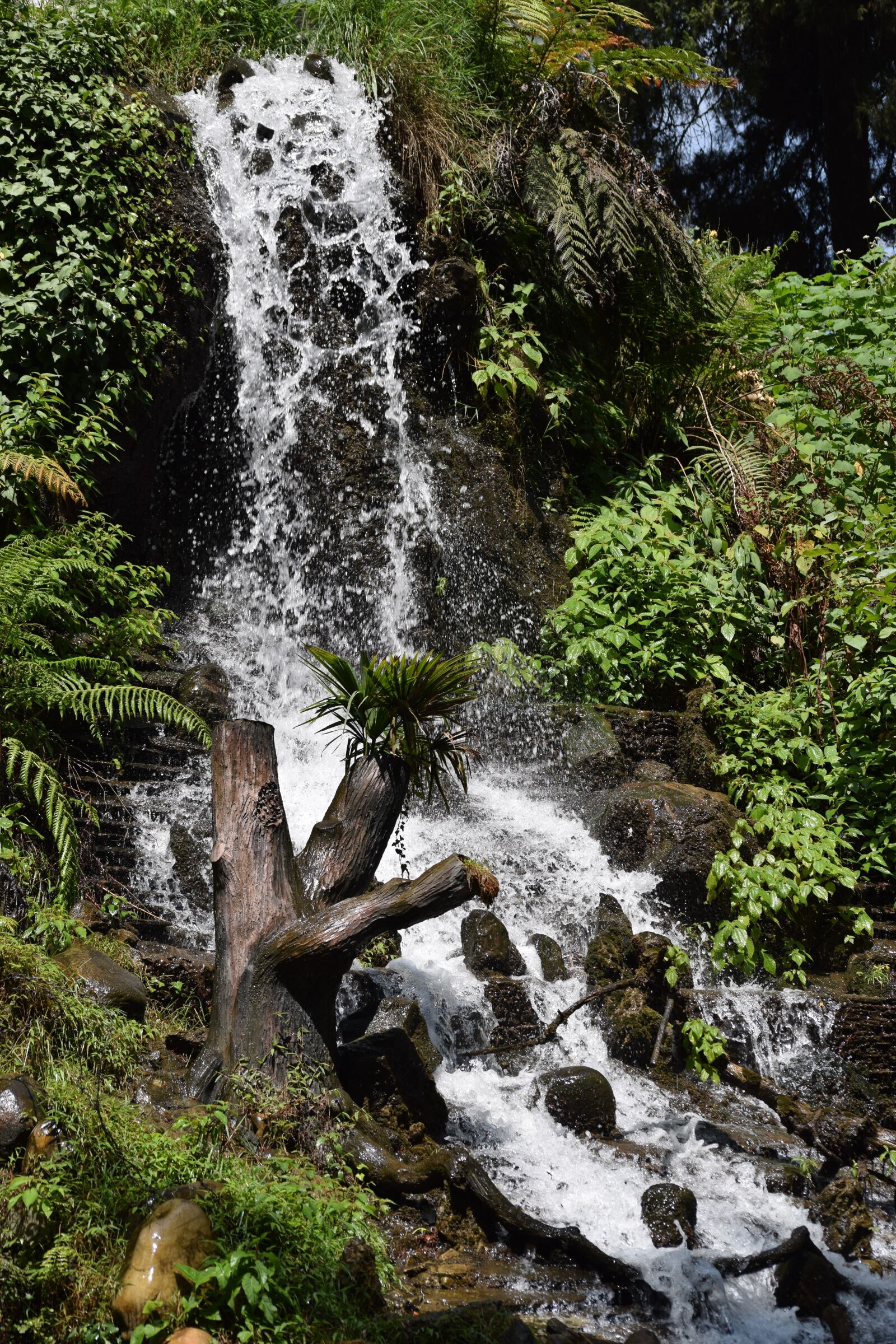 Nikon D3300 sample photo. Waterfall, water, green photography