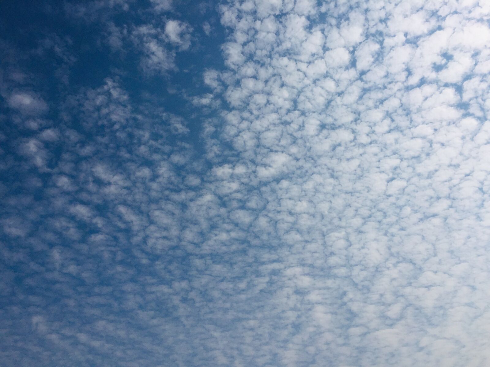 Apple iPhone 6 sample photo. Clouds, sky, blue photography
