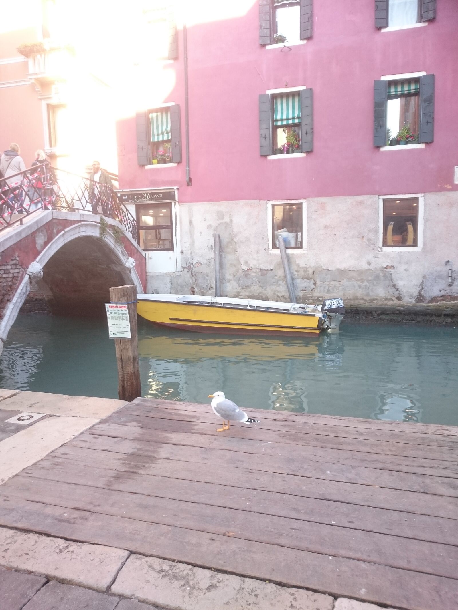 Sony Xperia Z3 sample photo. Venice, bird, canal photography
