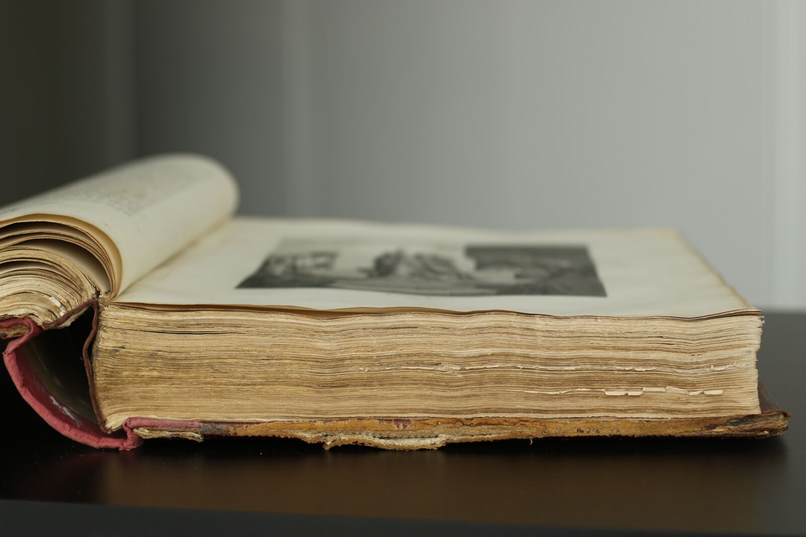 Canon EOS 7D Mark II sample photo. Book, old, library photography
