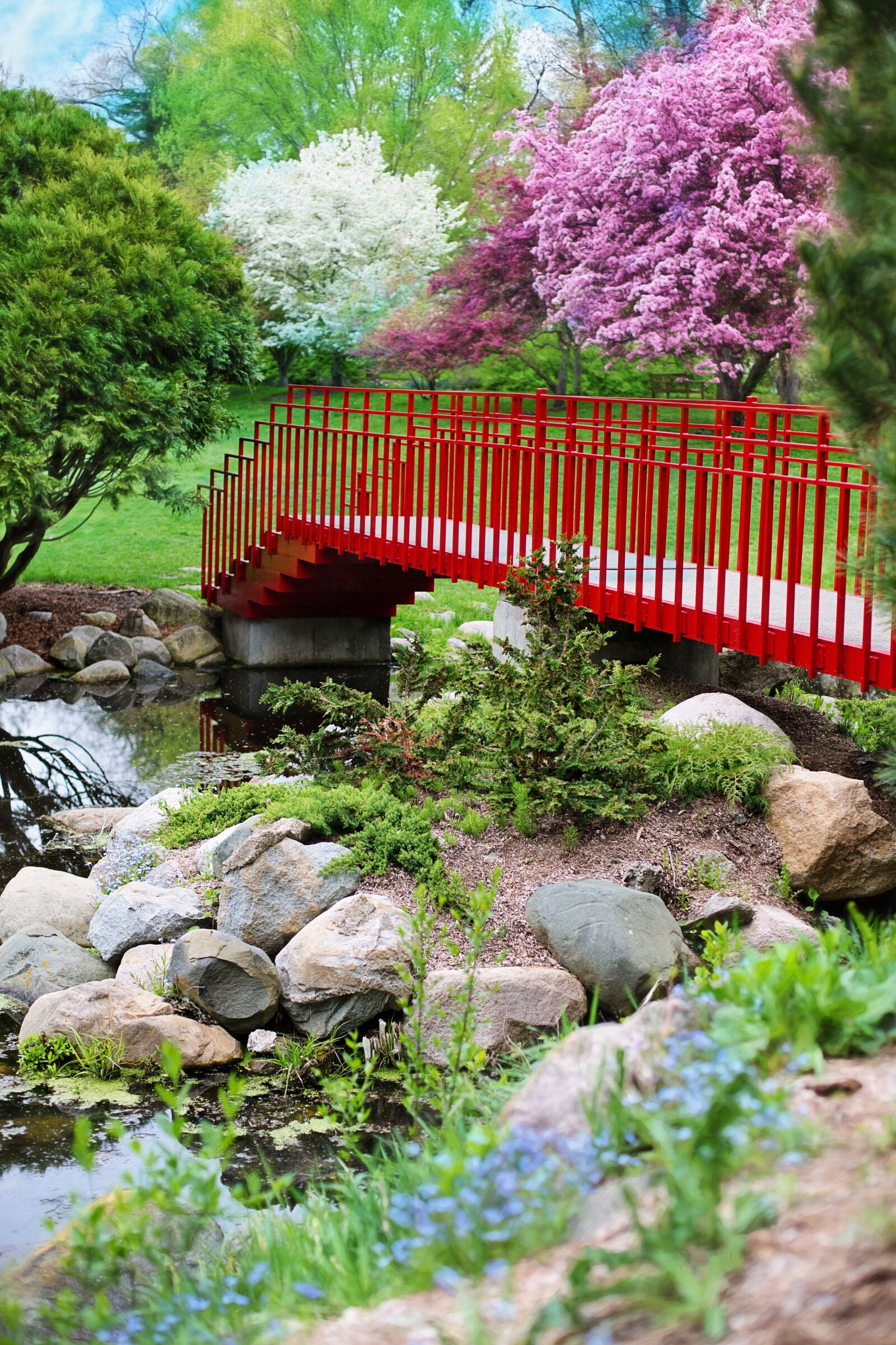 Canon EF 50mm F1.4 USM sample photo. Spring, bridge, pink photography
