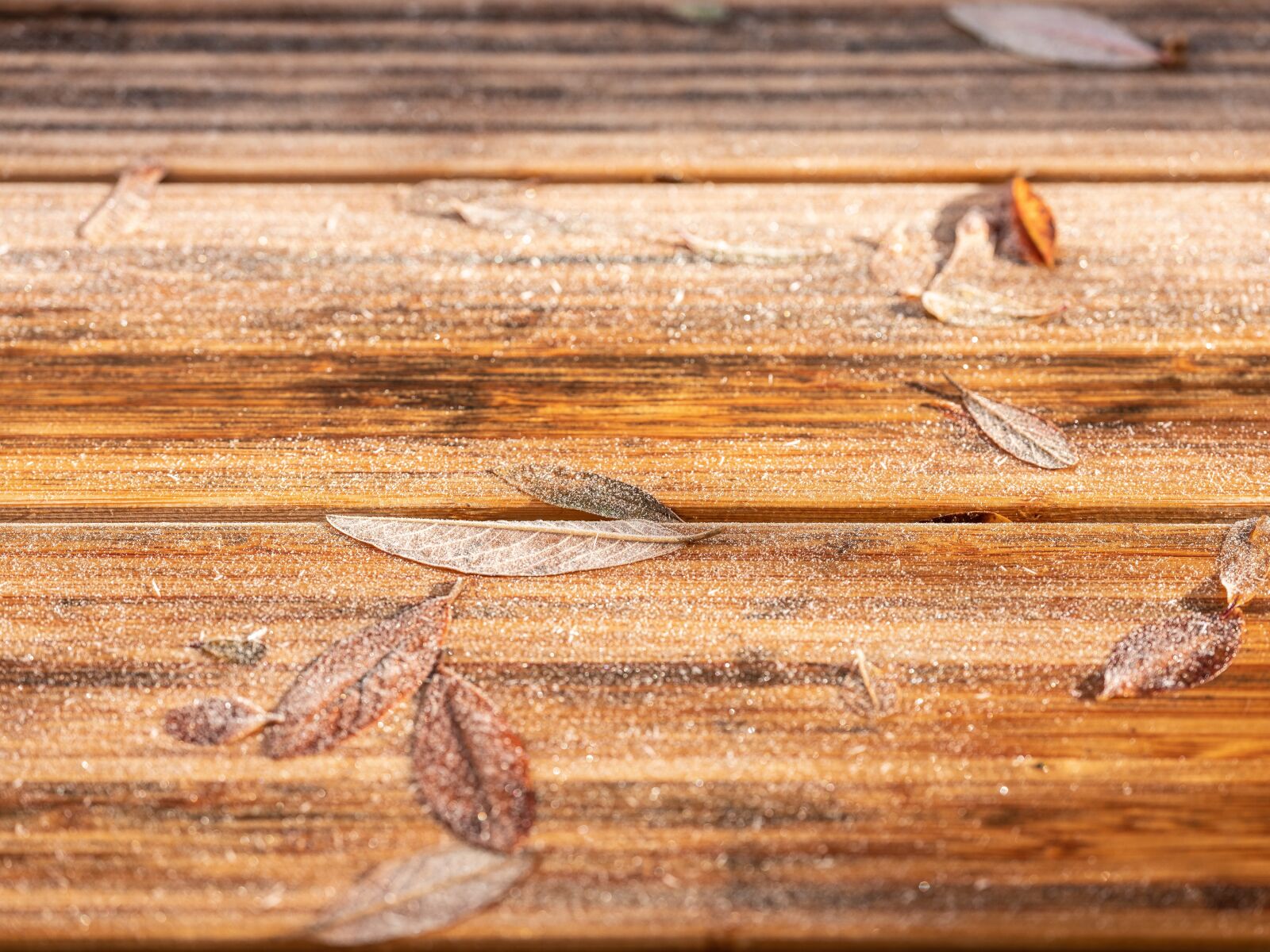 Fujifilm GF 120mm F4 R LM OIS WR Macro sample photo. Table top, frost, autumn photography
