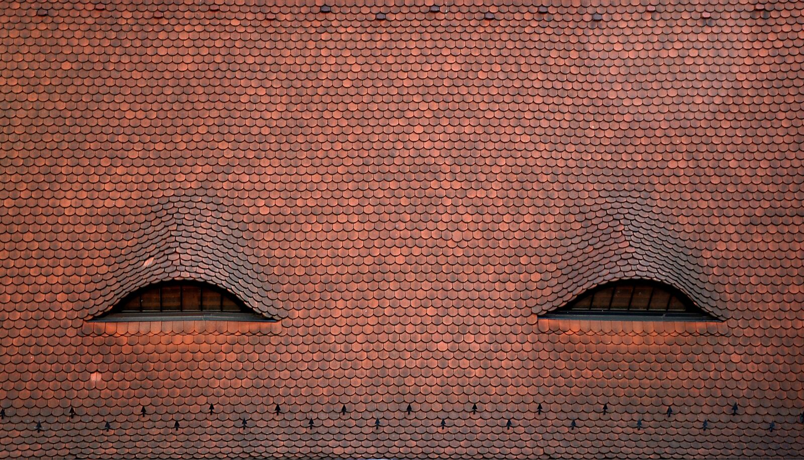 Nikon D5100 sample photo. Rooftop, minimal, eye photography