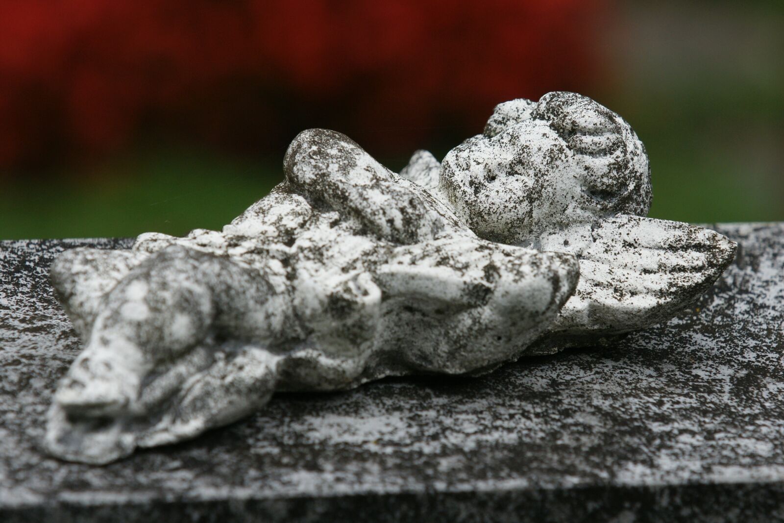 Sony Alpha DSLR-A700 sample photo. Angel, angel figure, cemetery photography