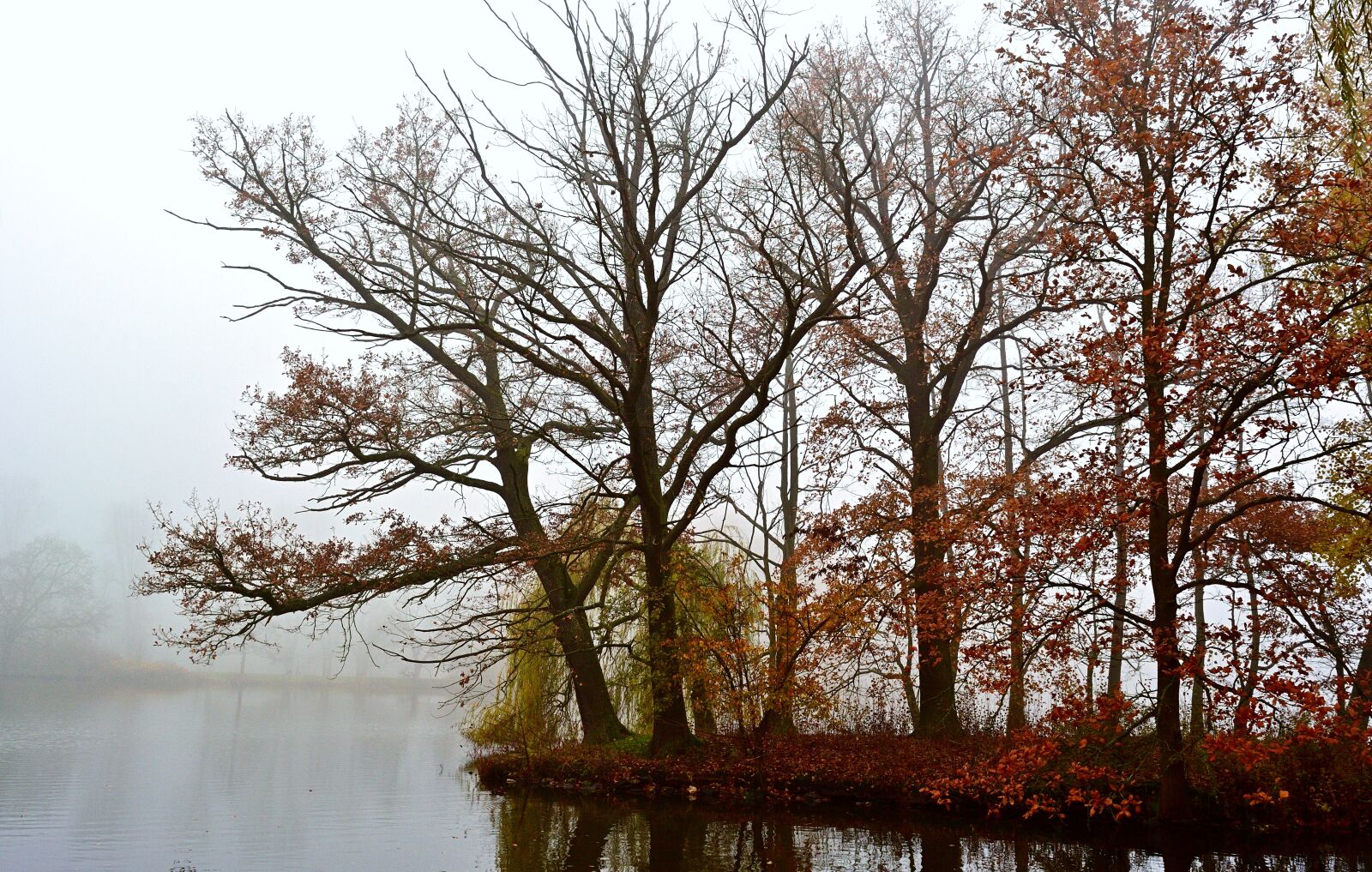 Nikon D5200 sample photo. Autumn, fog, park lake photography