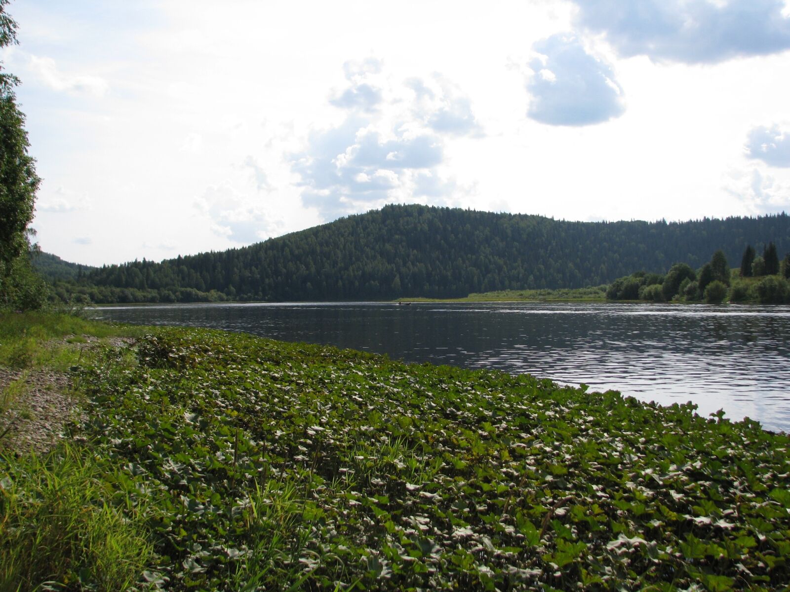 Canon POWERSHOT S5 IS sample photo. River, forest, beach photography
