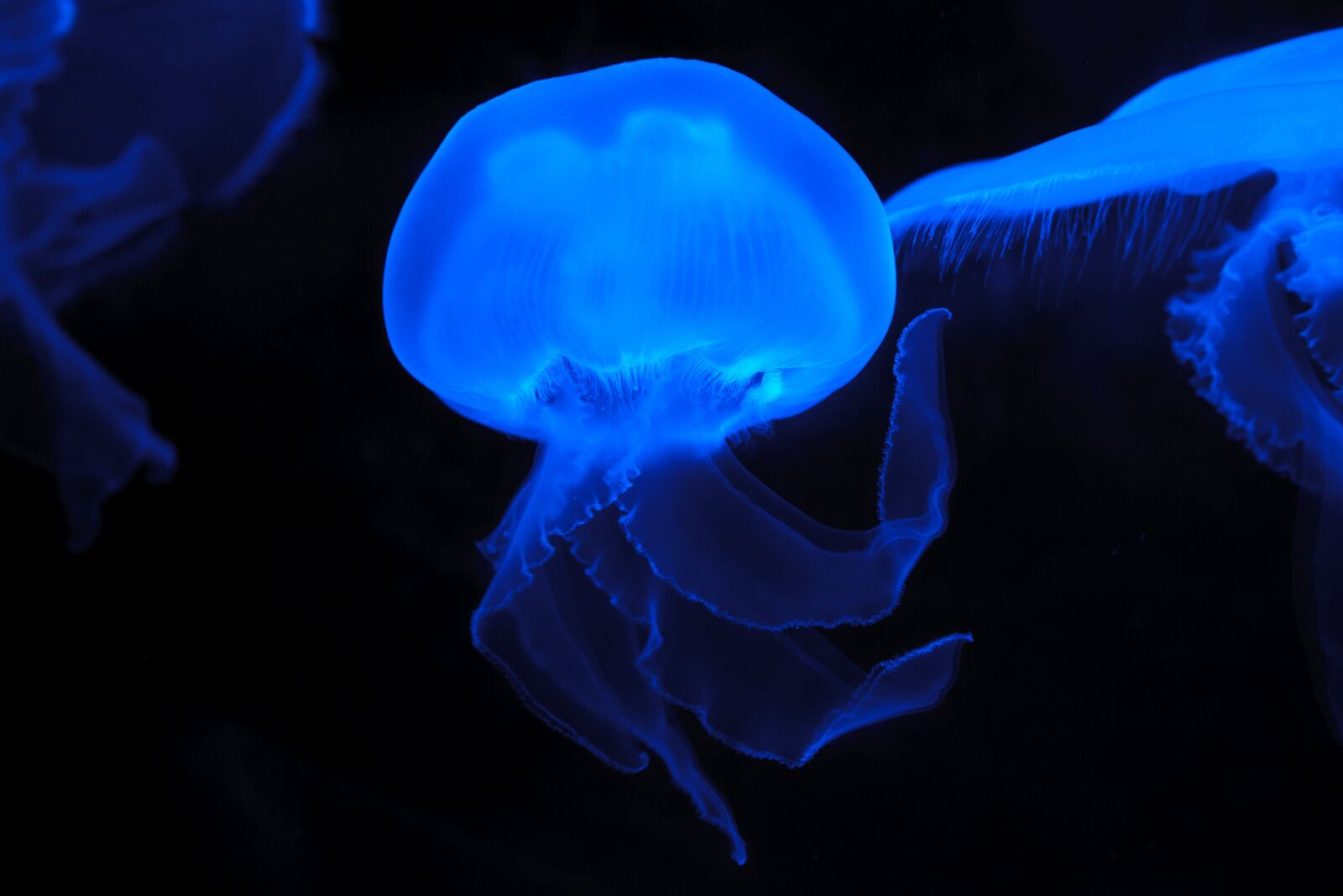 Canon EOS 5D Mark II sample photo. Sea, nature, blue, dark photography