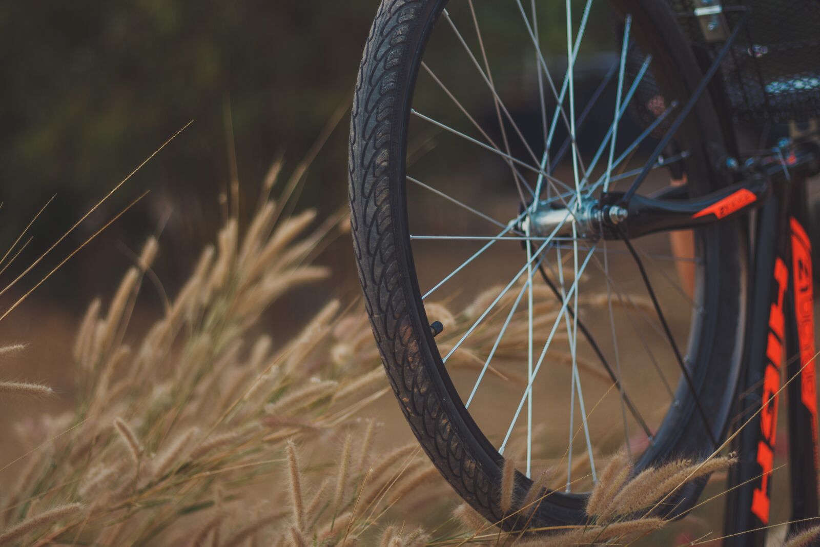 Canon EOS 700D (EOS Rebel T5i / EOS Kiss X7i) + Canon EF 50mm F1.8 STM sample photo. Bicycle, molding, cycling photography
