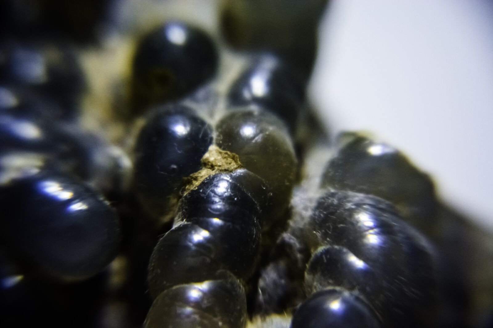 Nikon D7100 sample photo. Pattern, stone, solid photography