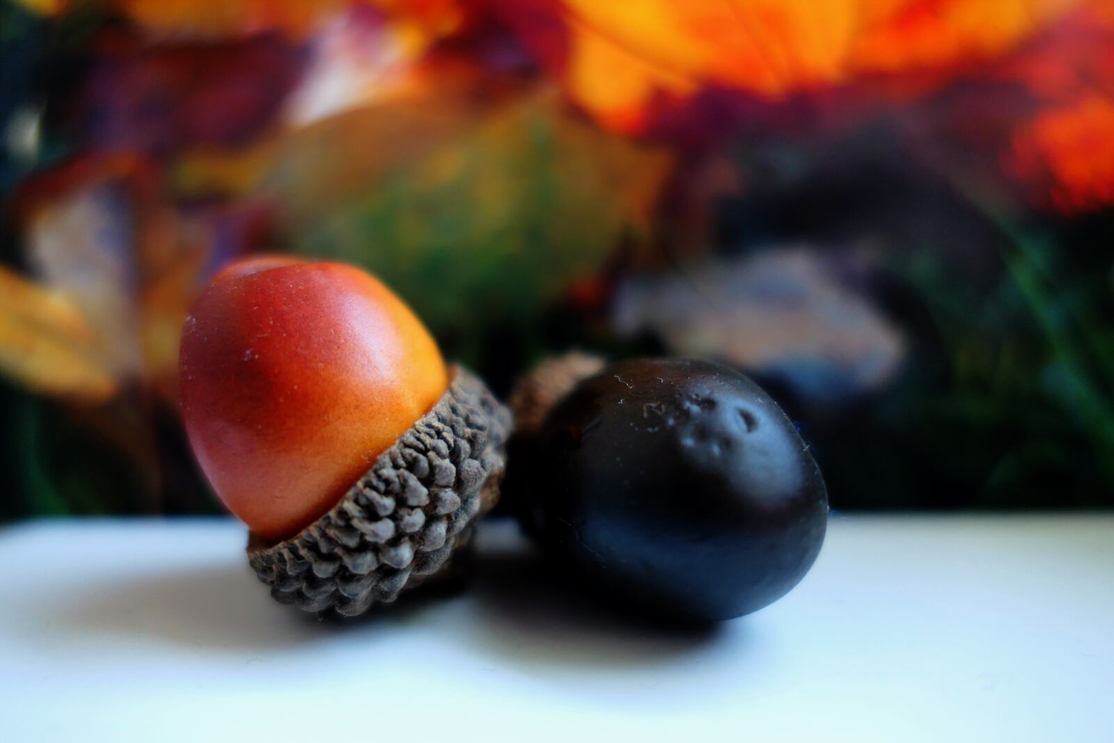 Panasonic Lumix DMC-LX10 (Lumix DMC-LX15) sample photo. Autumn, deco, herbstdeko photography