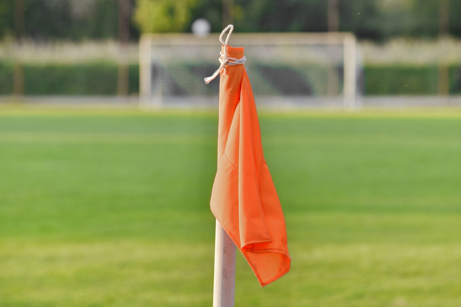 Nikon D5500 sample photo. Corner, detail, fair weather photography