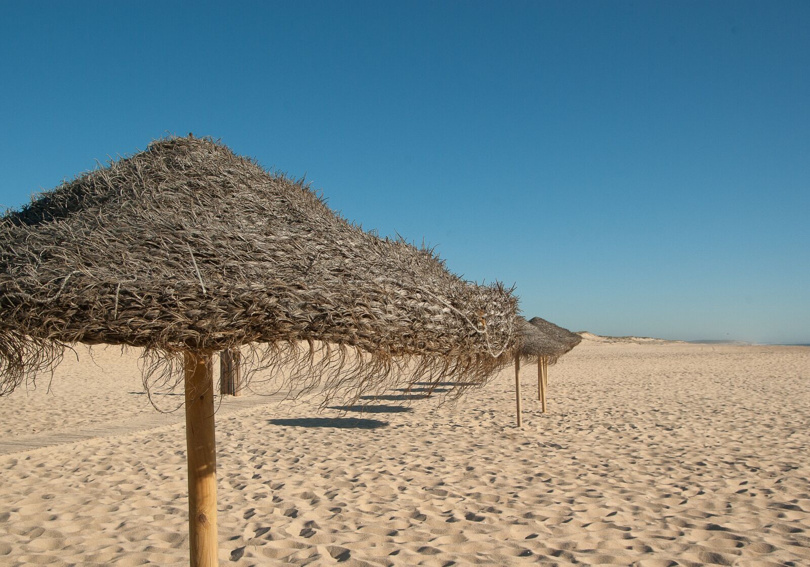 Pentax K10D sample photo. Portugal, beach, parasol photography