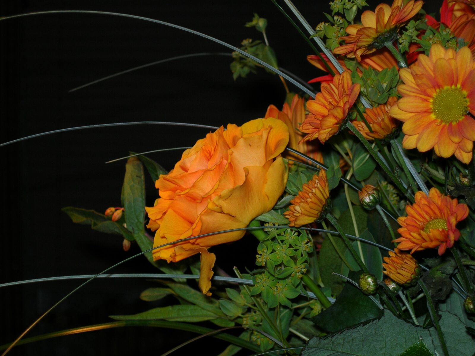 Nikon E5900 sample photo. Rose, cut flowers, fade photography