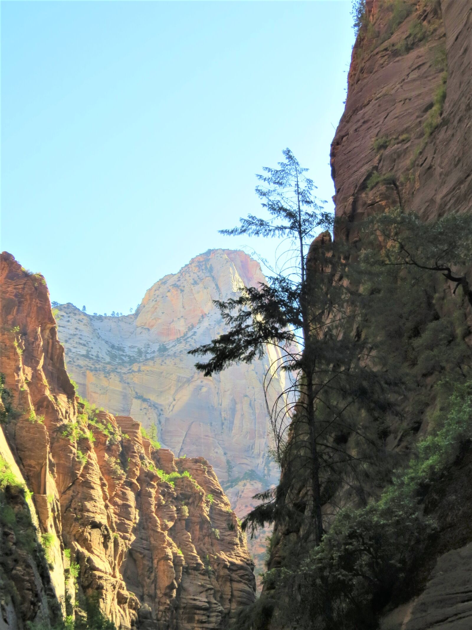 Canon PowerShot SX50 HS sample photo. Mountain, dramatic, landscape photography