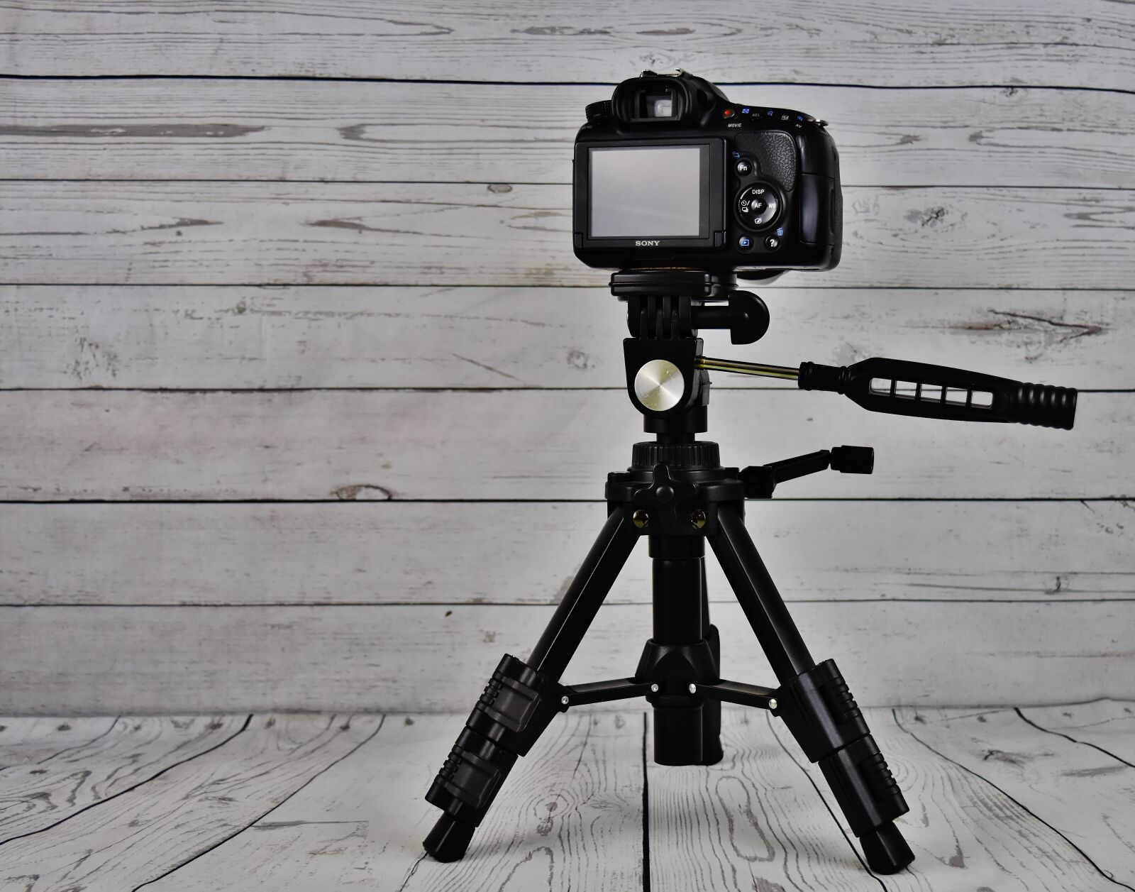Nikon D7200 sample photo. Sony slt-a58, camera, sony photography
