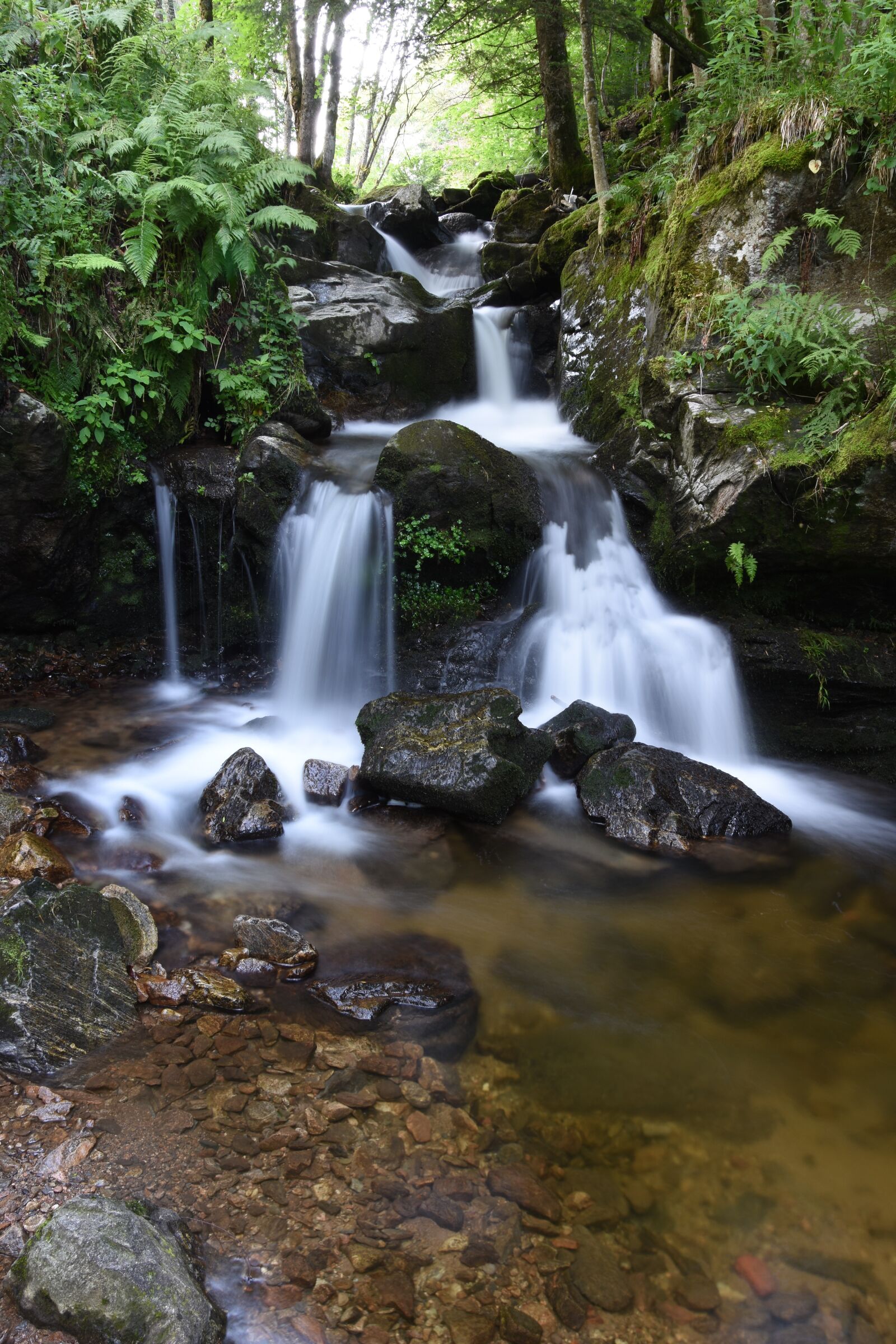 Nikon D7200 sample photo. Bach, black forest, water photography