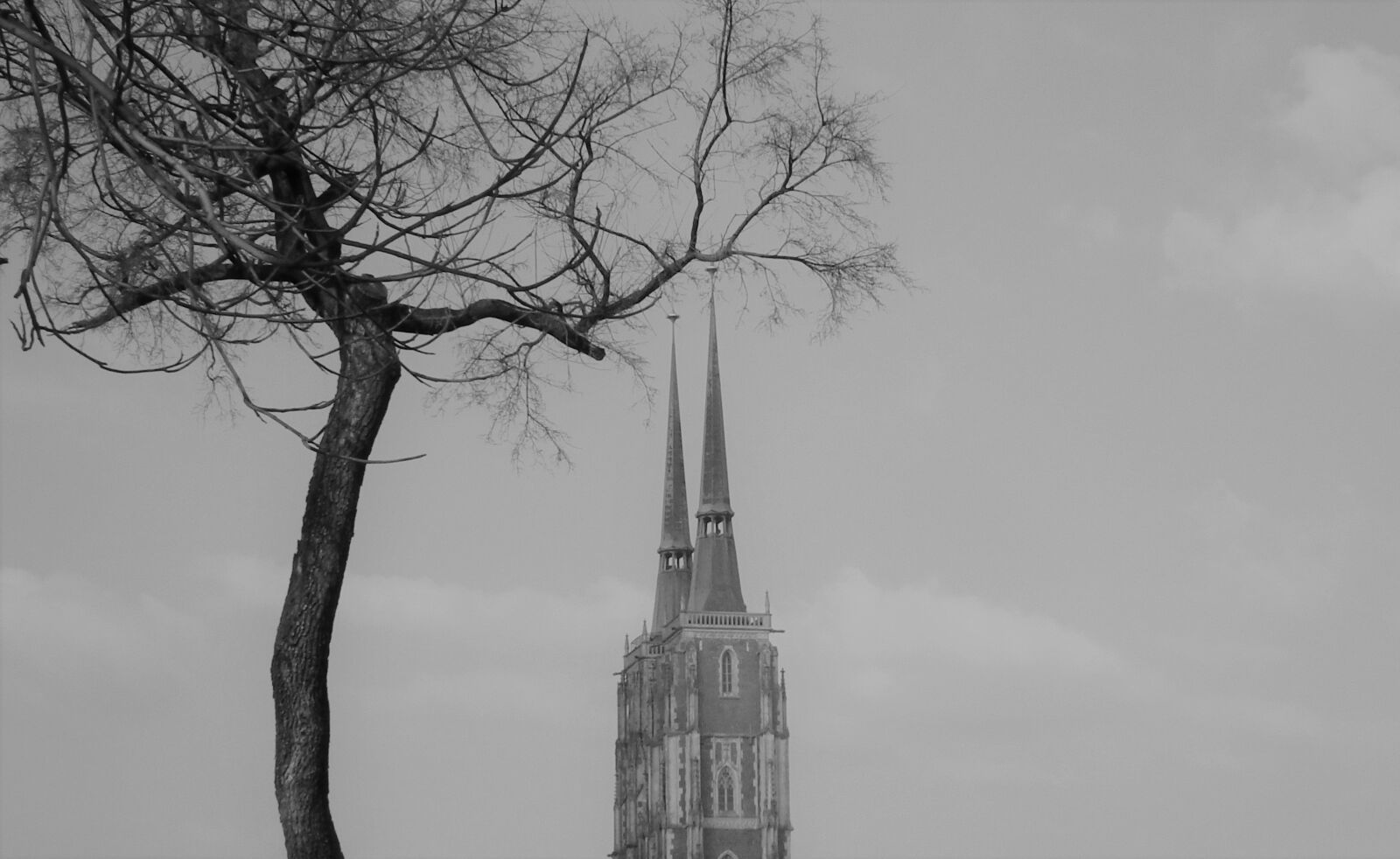 FujiFilm FinePix HS10 (FinePix HS11) sample photo. Tree, winter, architecture photography