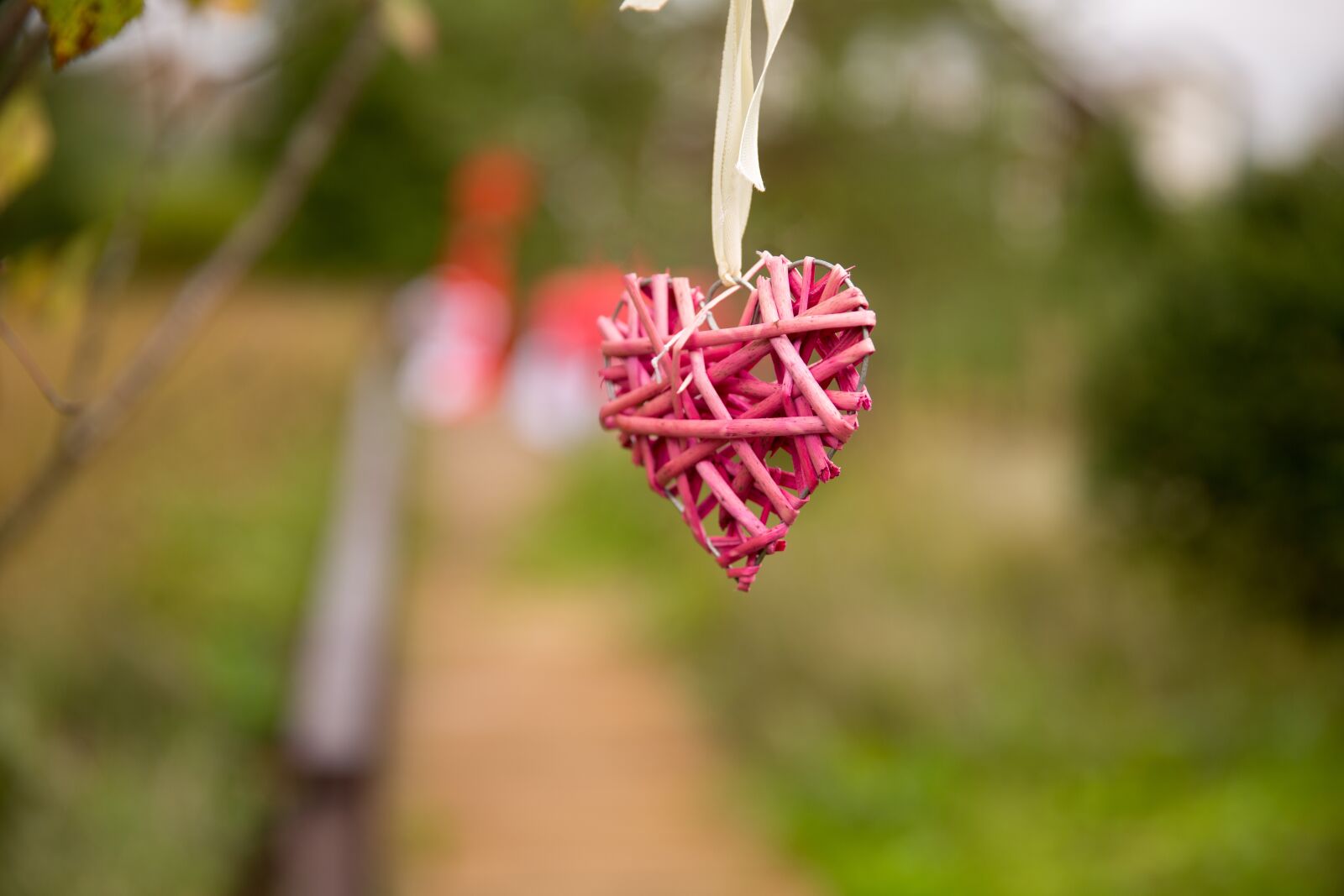 Canon EF 24-70mm F2.8L II USM sample photo. Heart, decoration, ribbon photography