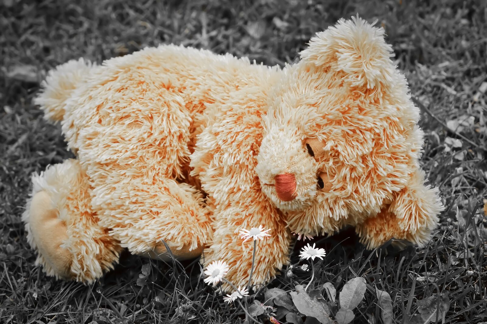 Nikon D3200 sample photo. Teddy, lonely, teddy bear photography