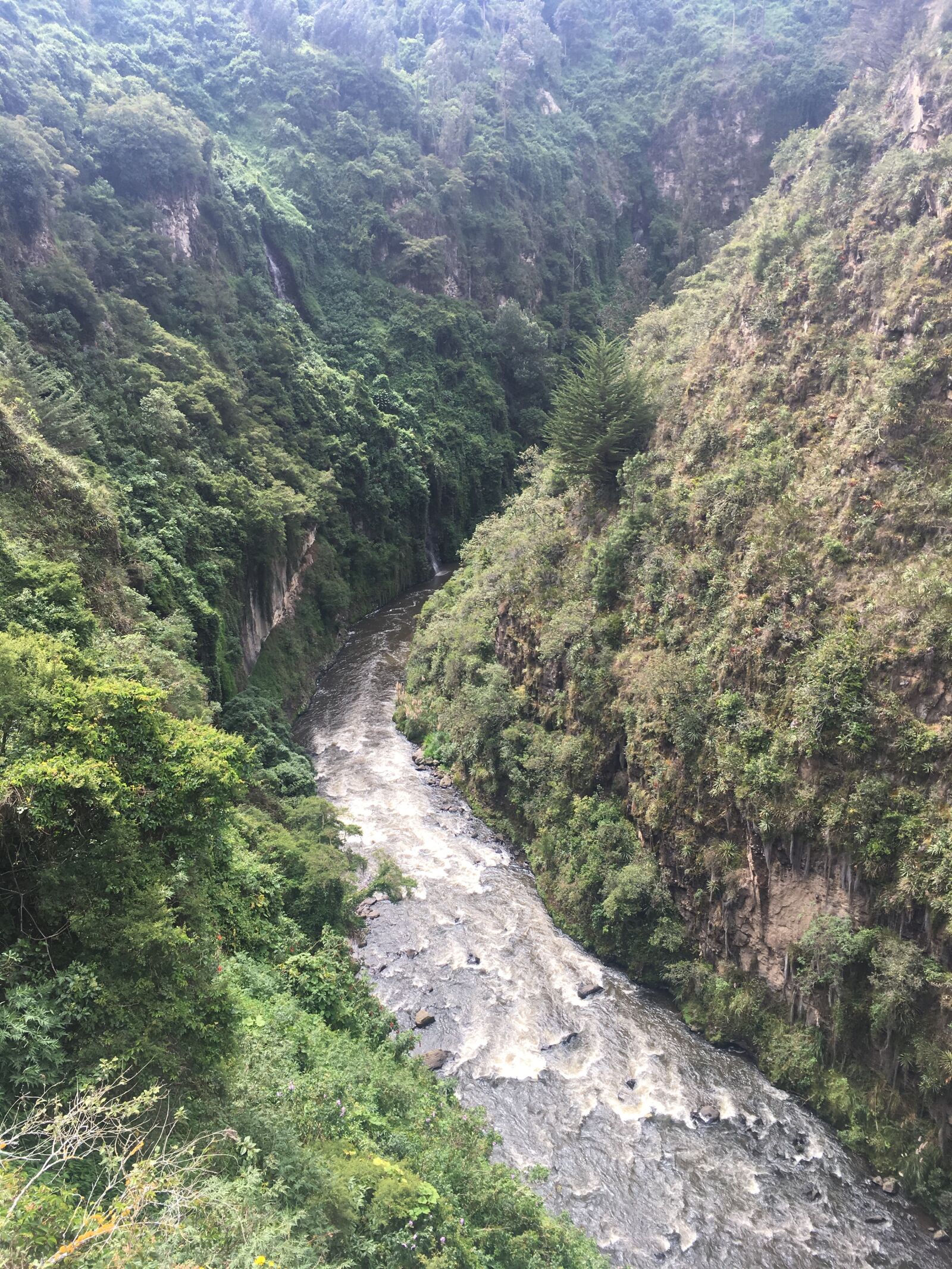 Apple iPhone 6s sample photo. Canon, river, landscape photography