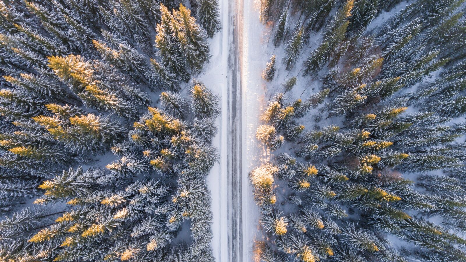 DJI FC330 sample photo. Morning, beautiful, nature photography