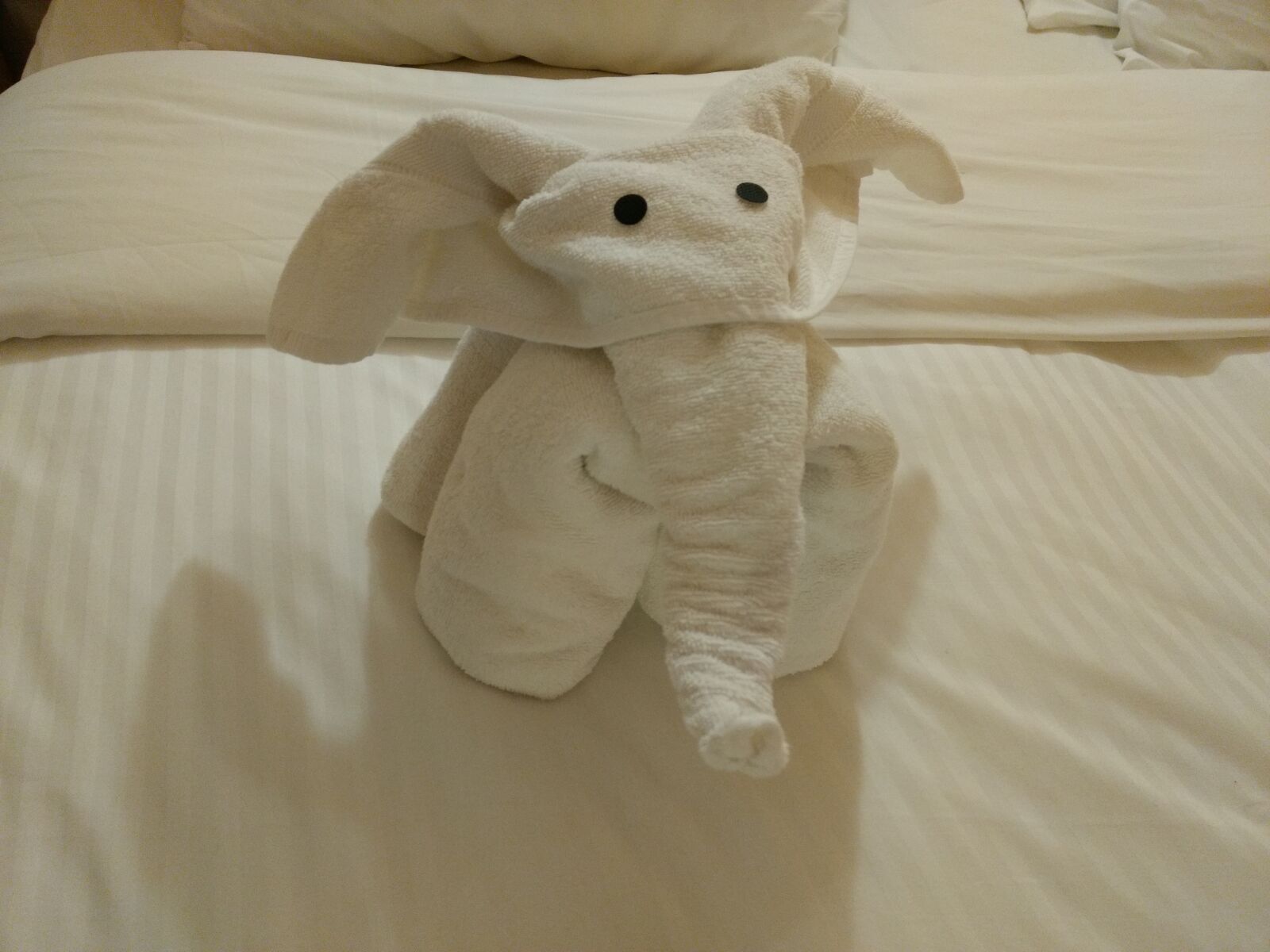 Motorola Moto G (4) sample photo. Elephant, towel, animal photography