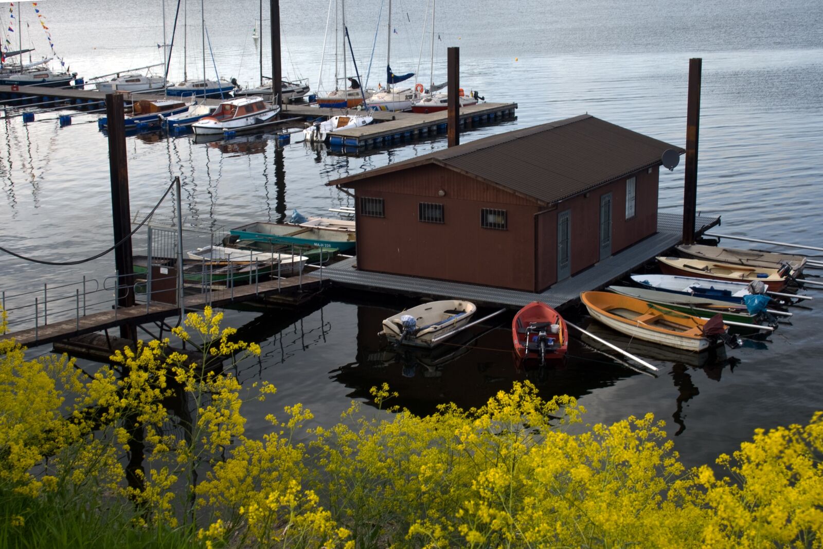 Canon EF-S 18-55mm F3.5-5.6 II sample photo. Old rhine, rhine, mannheim photography