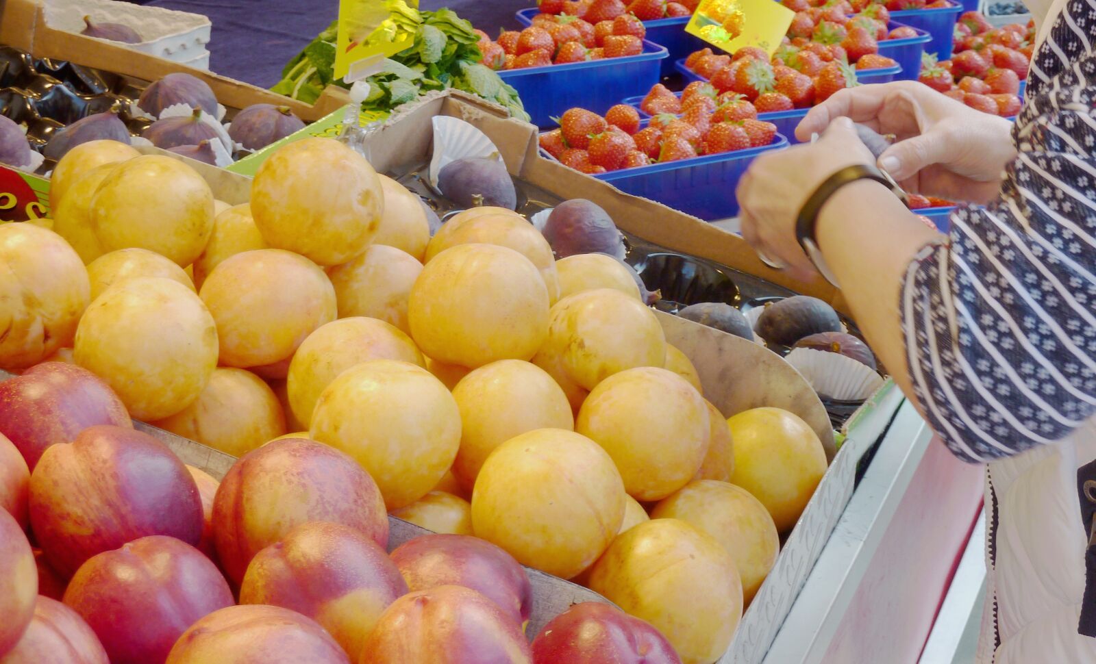 Panasonic DMC-TZ7 sample photo. Fruit, market, purchasing photography