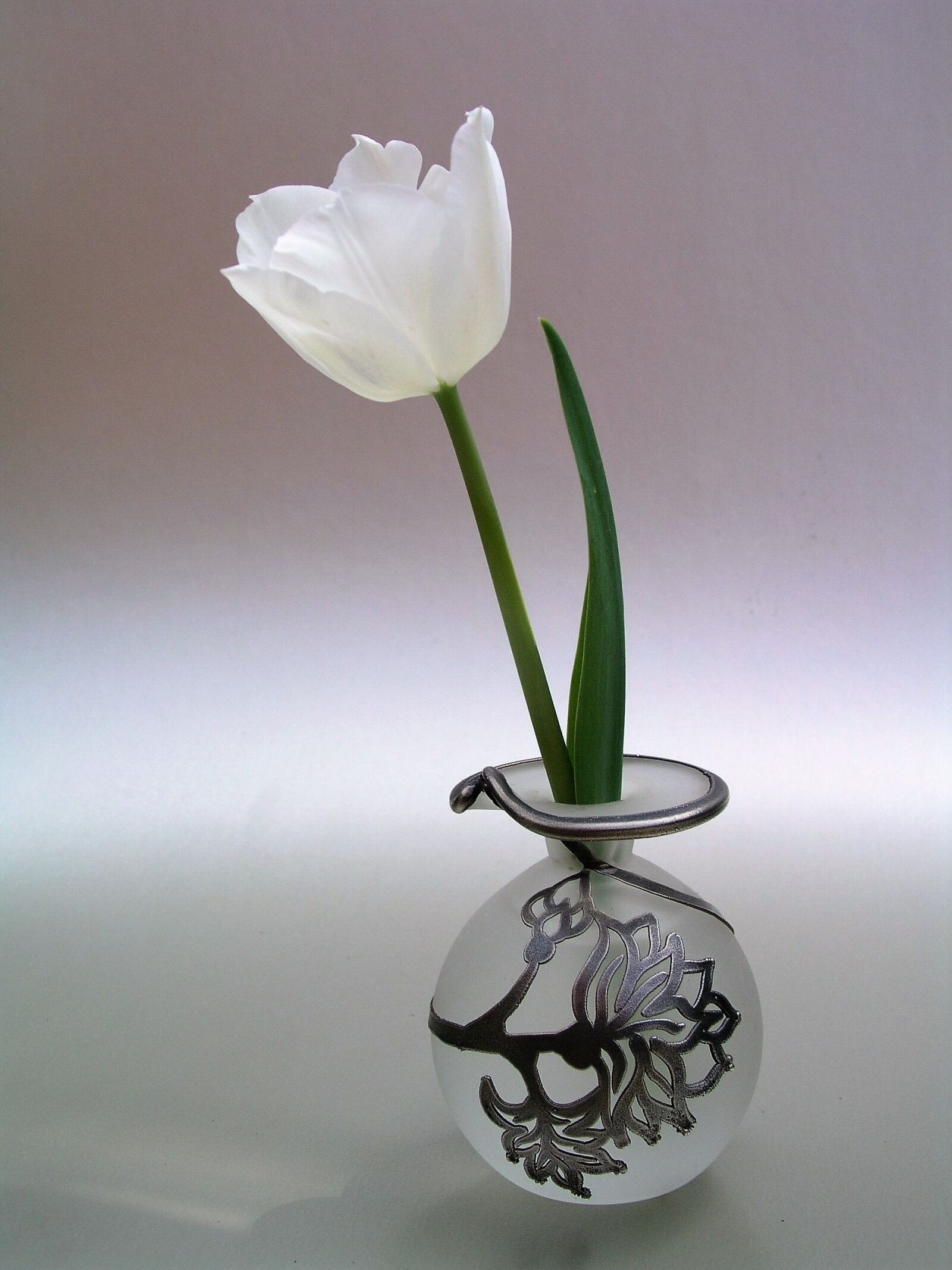 Olympus C5050Z sample photo. Sympathy, vase, flower photography