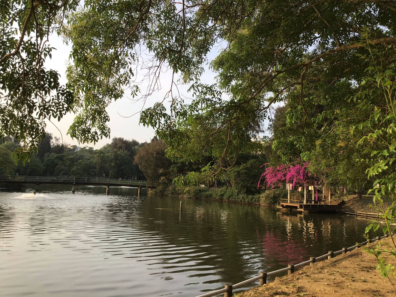 Apple iPad (6th generation) sample photo. Lake, sunrise, nature photography