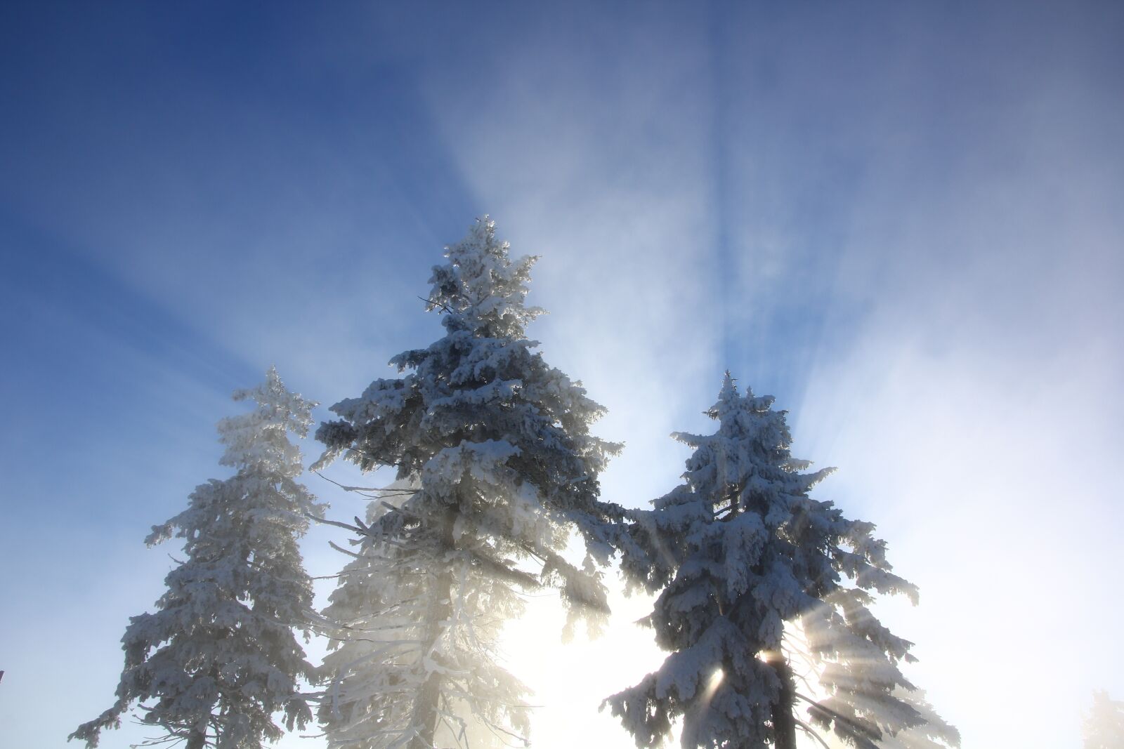 Canon EOS 60D sample photo. Fog, shadow, keilberg photography