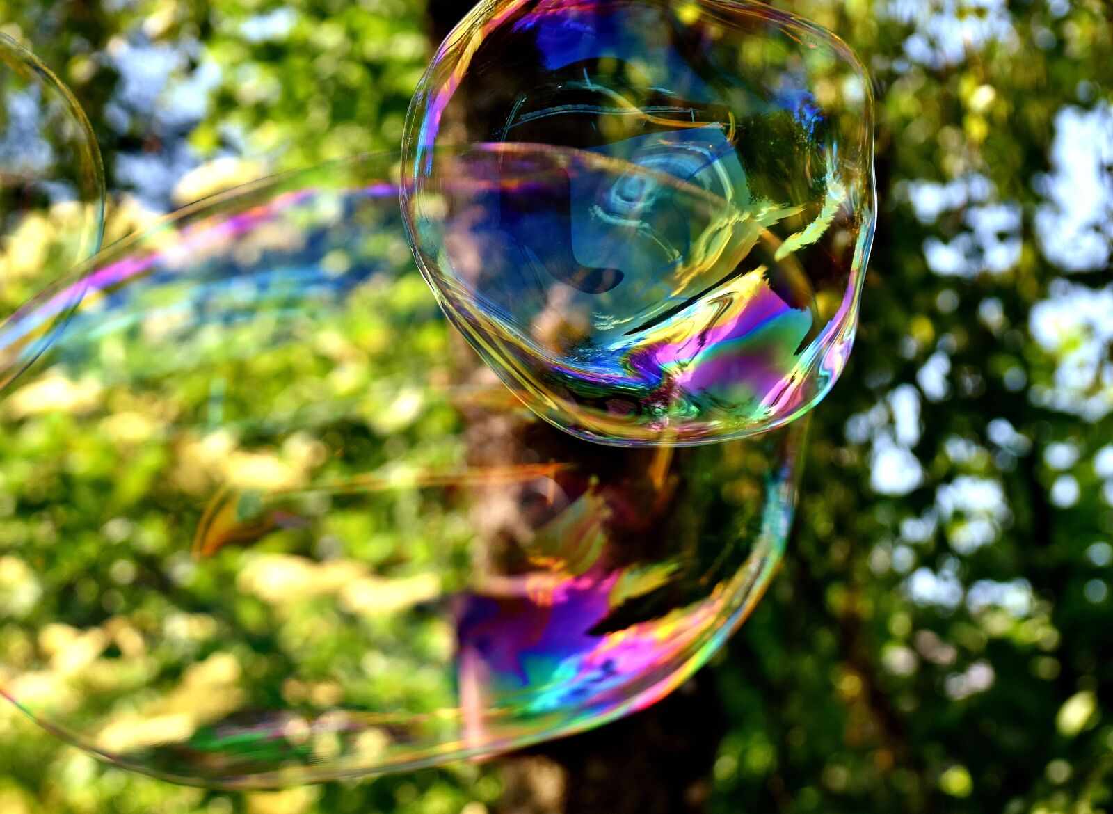 Nikon D7200 sample photo. Soap bubble, huge, large photography