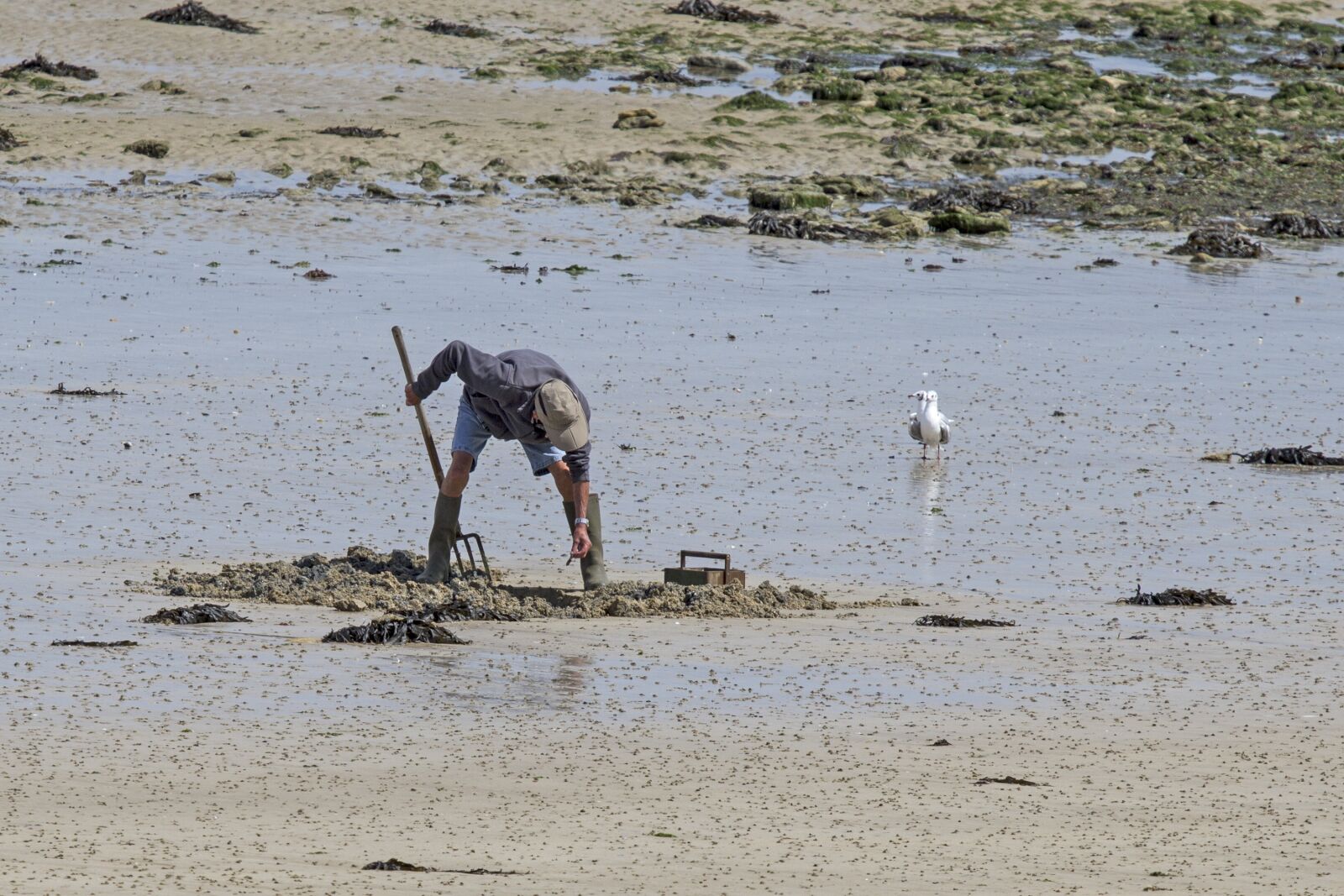Canon EOS 7D sample photo. Sandworms, forke, watts worms photography