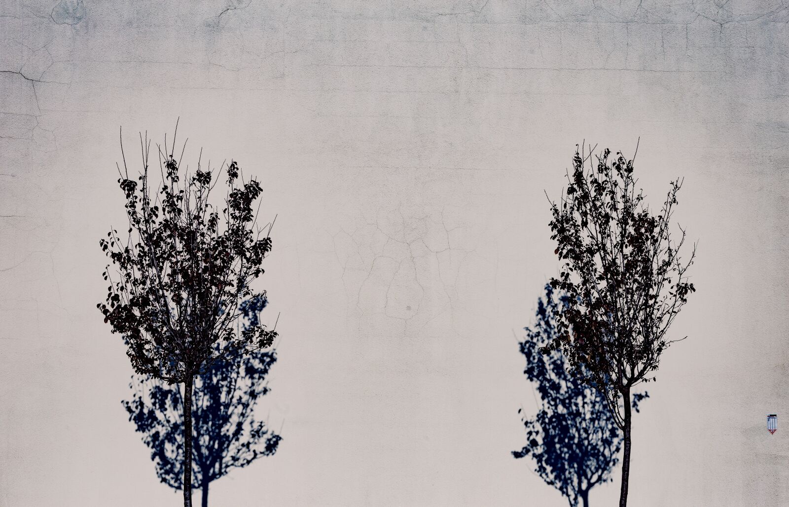 Canon EF75-300mm f/4-5.6 sample photo. Wall, trees, shadows photography