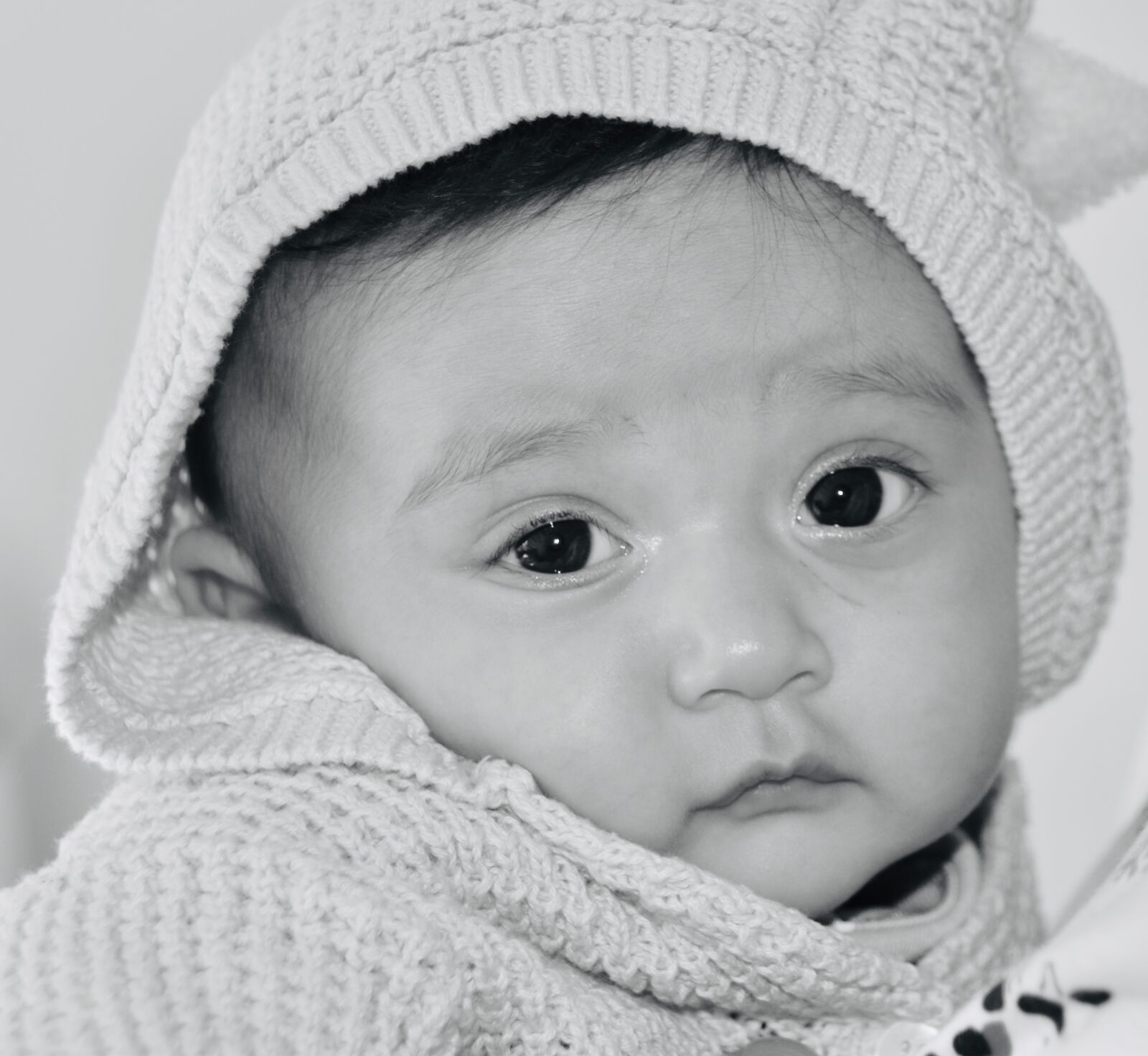 Nikon D5600 sample photo. Baby, human, child photography