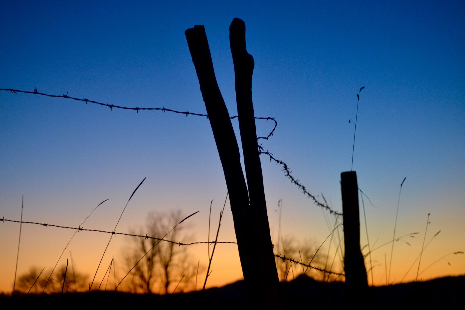 Nikon D3100 sample photo. Blue, fence, orange, sky photography