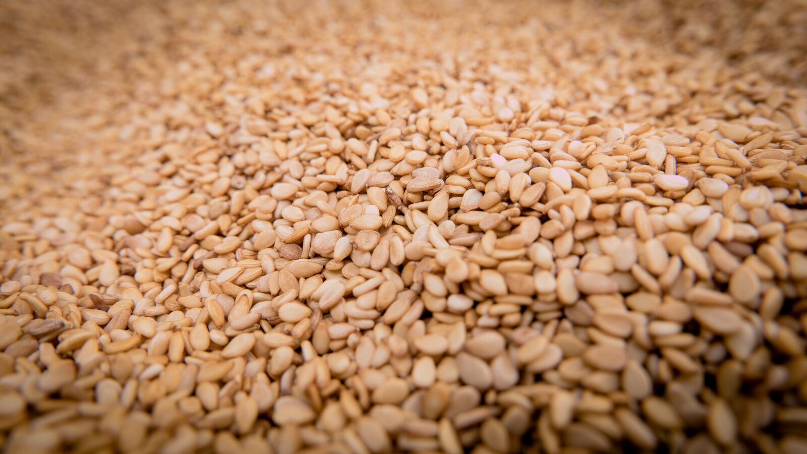 Panasonic Lumix DMC-LX100 sample photo. Sesame, seeds, sesame seeds photography