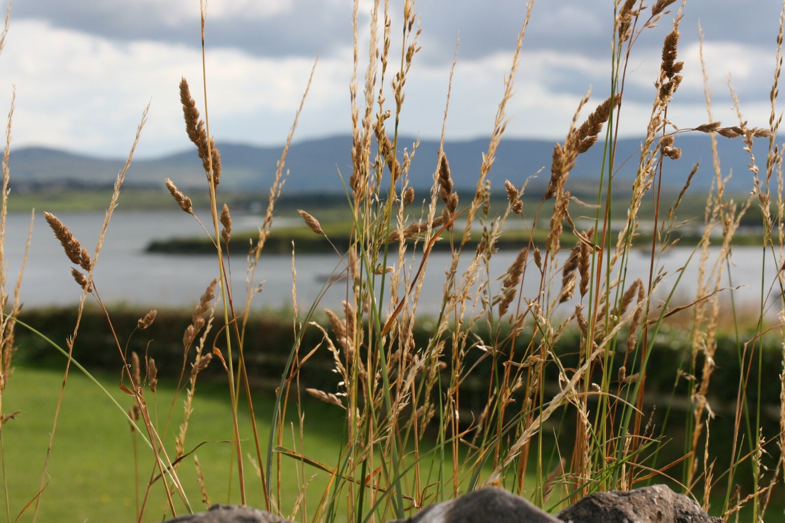 Canon EOS 400D (EOS Digital Rebel XTi / EOS Kiss Digital X) sample photo. Ireland, atmosphere, holiday photography