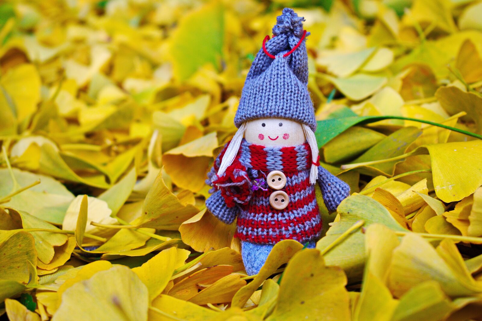 Nikon D3300 sample photo. Doll, autumn, leaves photography