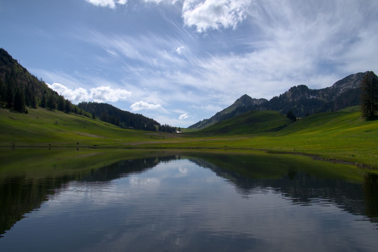 Pentax KP sample photo. Switzerland, alps, landscape photography