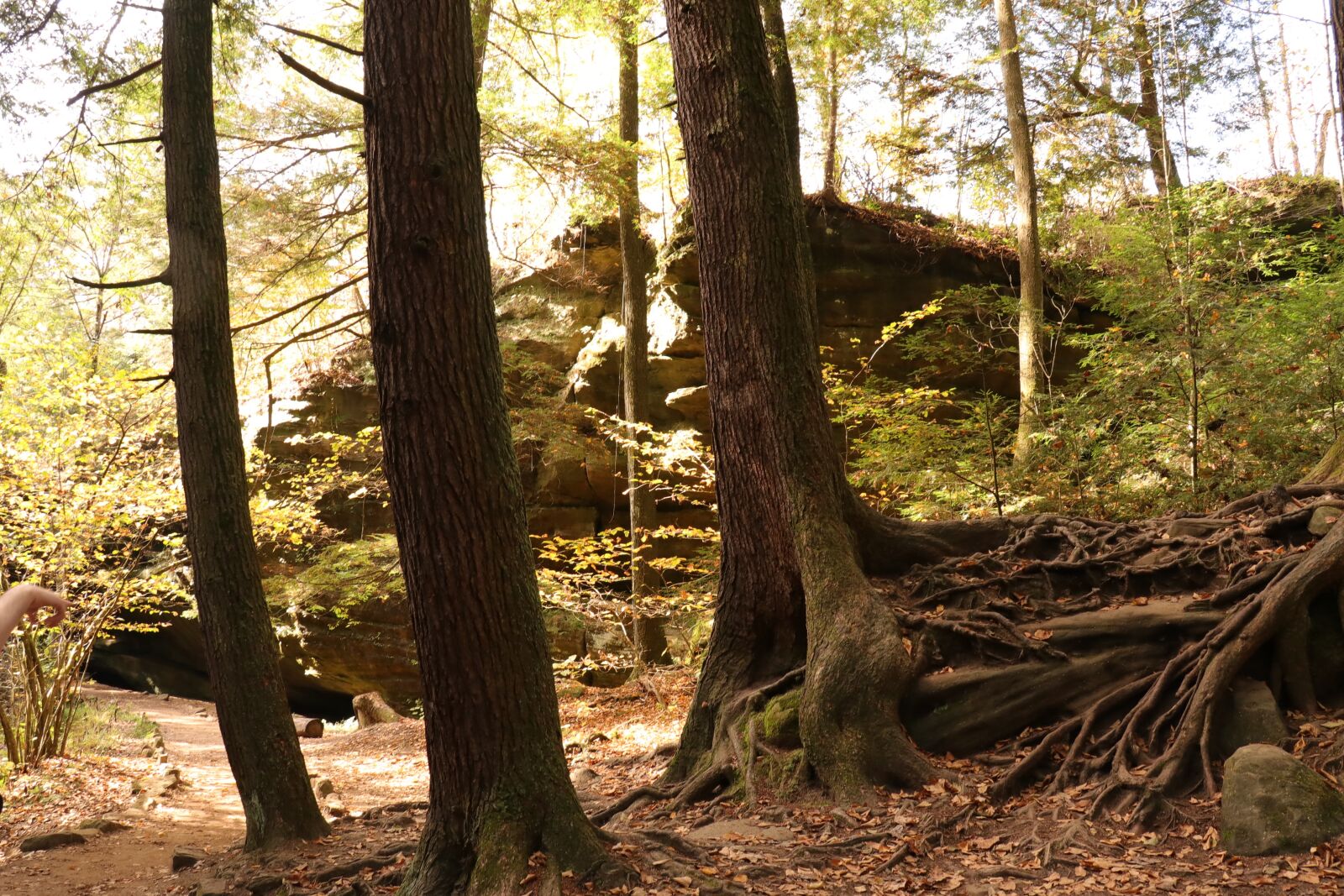 Canon EF-S 18-135mm F3.5-5.6 IS USM sample photo. Nature, photography, landscape photography