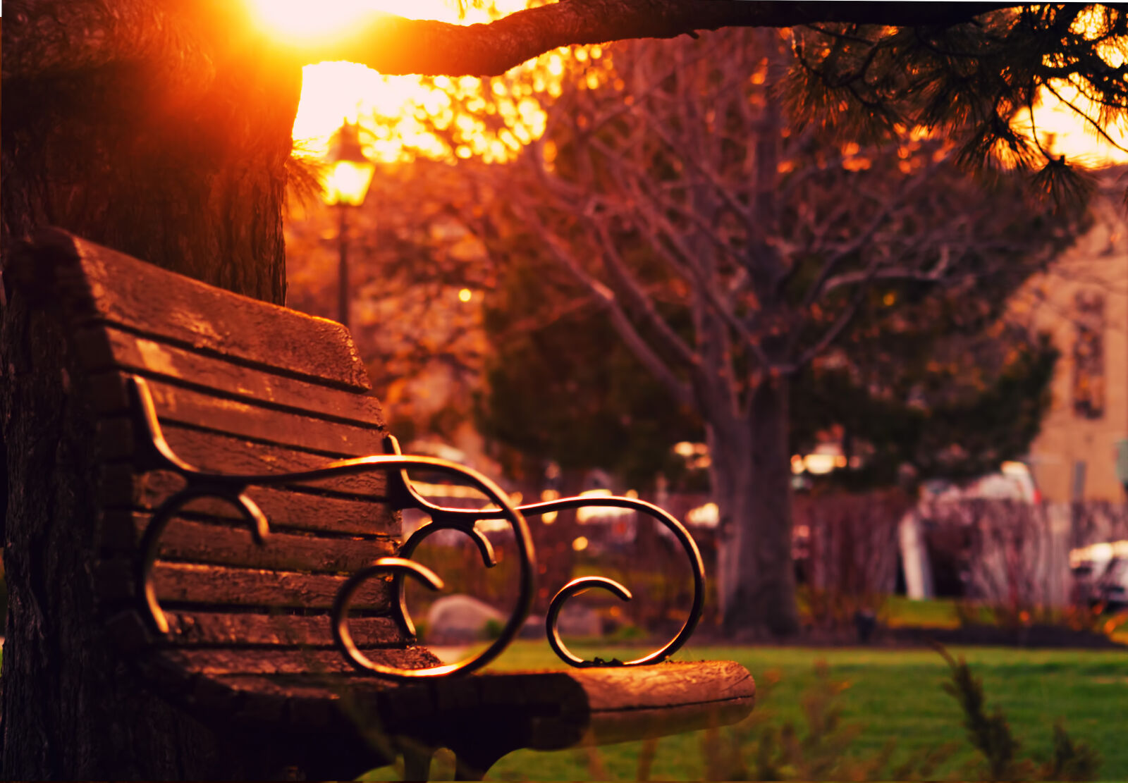 Canon EF 75-300mm f/4-5.6 sample photo. Brown, wooden, bench, on photography