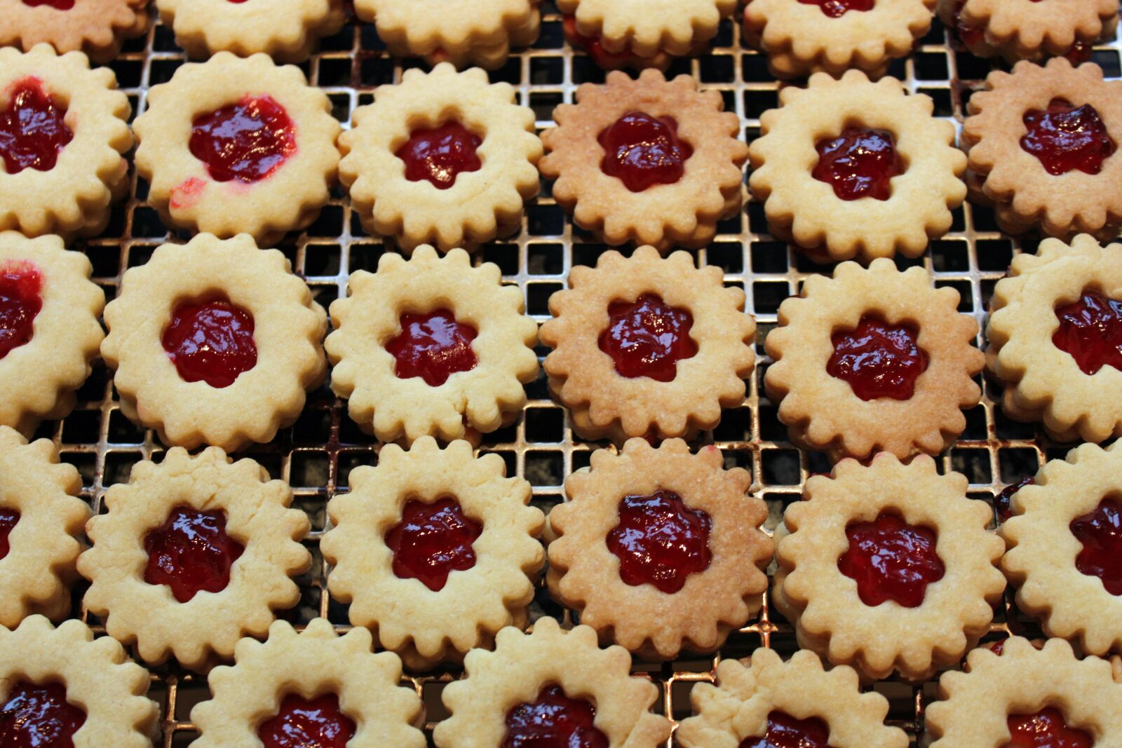 Canon EOS 500D (EOS Rebel T1i / EOS Kiss X3) sample photo. Advent, cookie, christmas photography