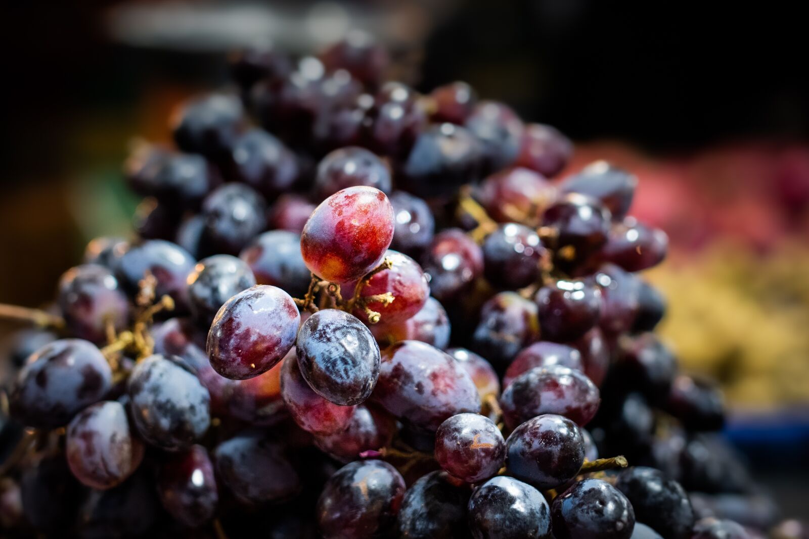 Nikon D500 sample photo. Grape, purple, vineyard photography